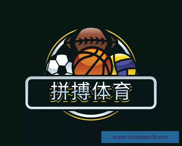 介绍拼搏体育